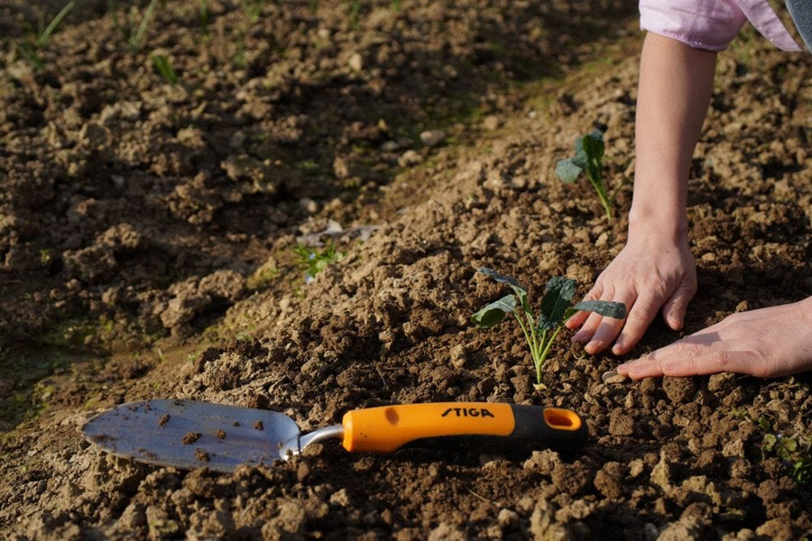 garden hand tool - transplanter trowel