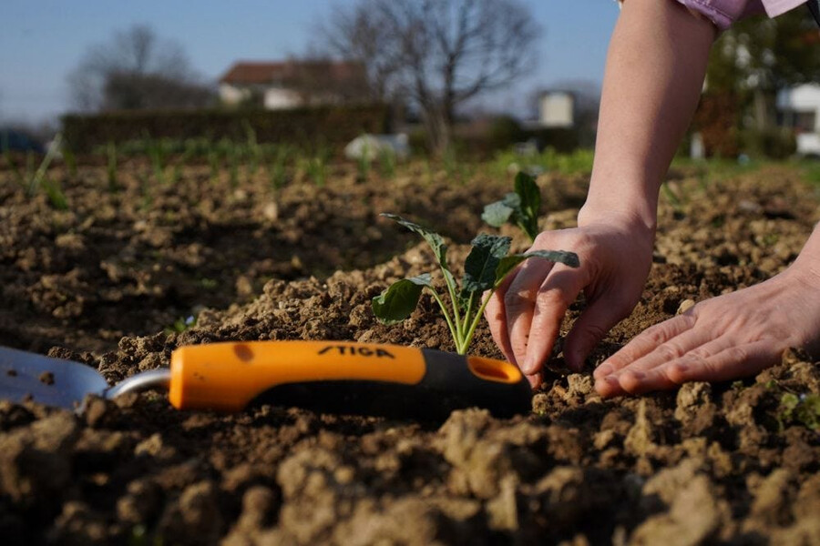 garden hand tool - transplanter trowel
