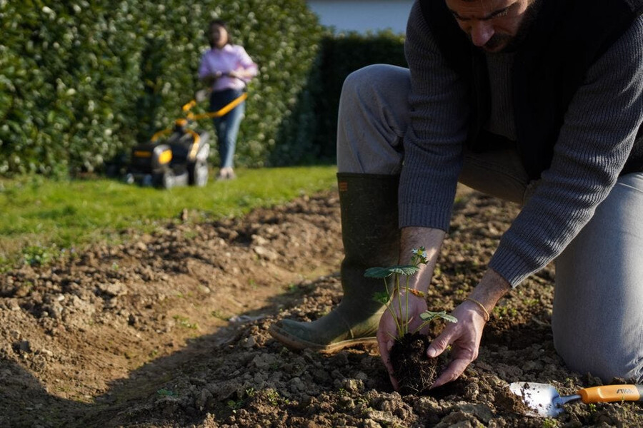 garden hand tool - transplanter trowel