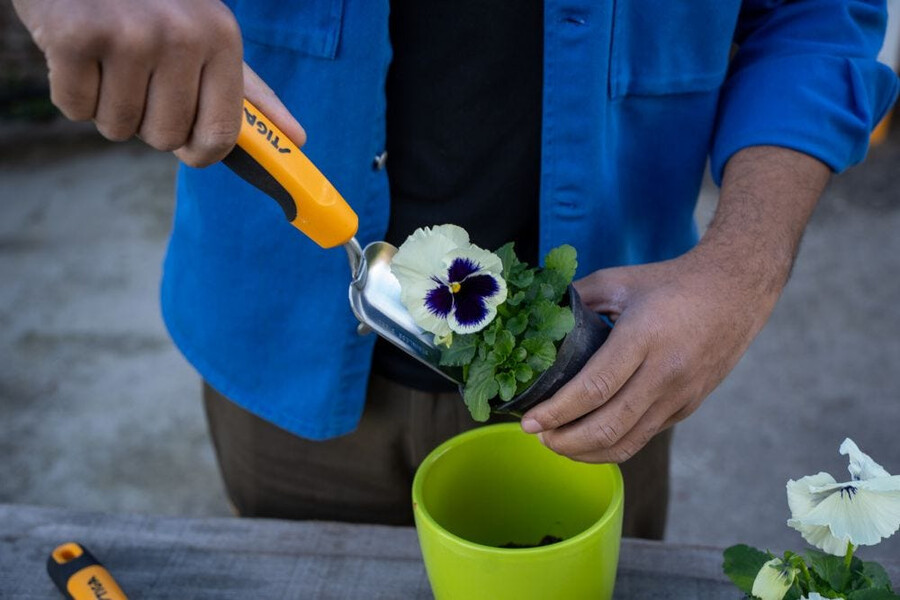 garden hand tool - transplanter trowel