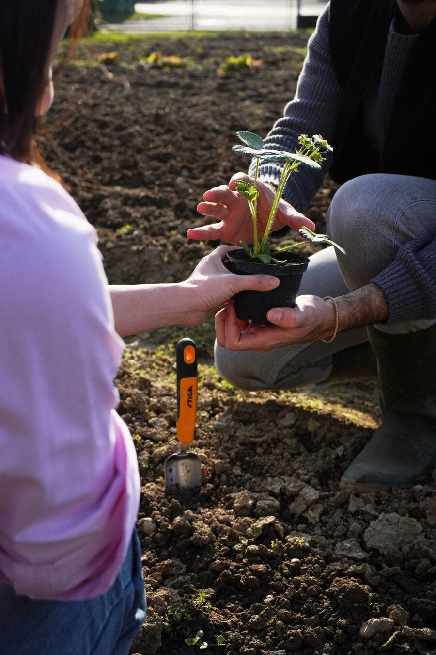 garden hand tool - transplanter trowel