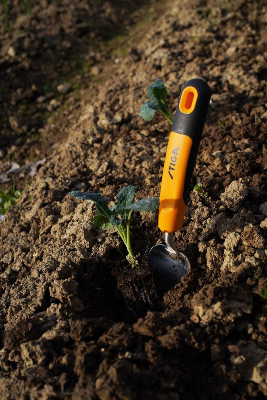 garden hand tool - transplanter trowel