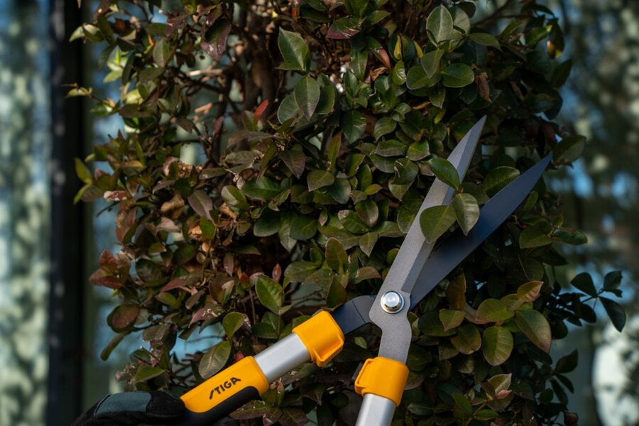 manual hedge shear - hedge shears