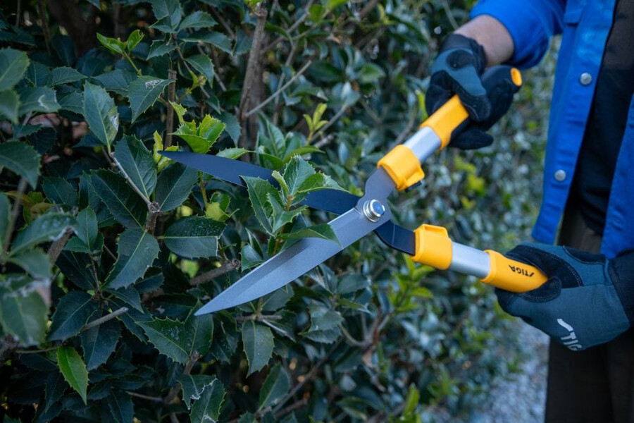 manual hedge shear - hedge shears