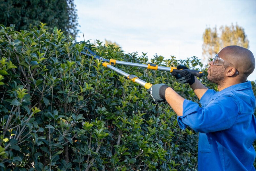 manual hedge shear - telescopic hedge shears