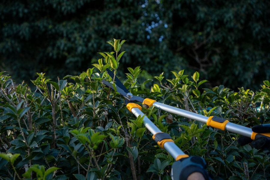 manual hedge shear - telescopic hedge shears