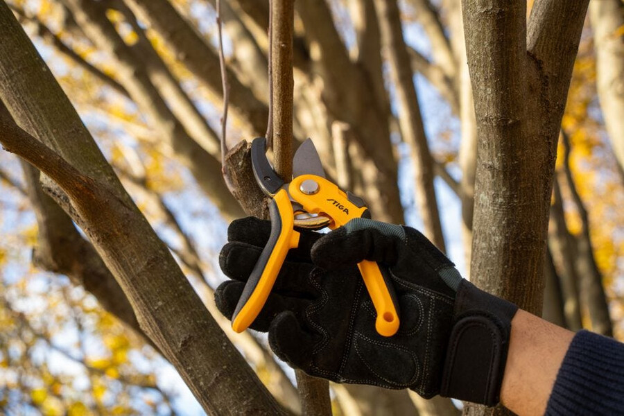 manual pruning shear and saw - anvil pruning shears