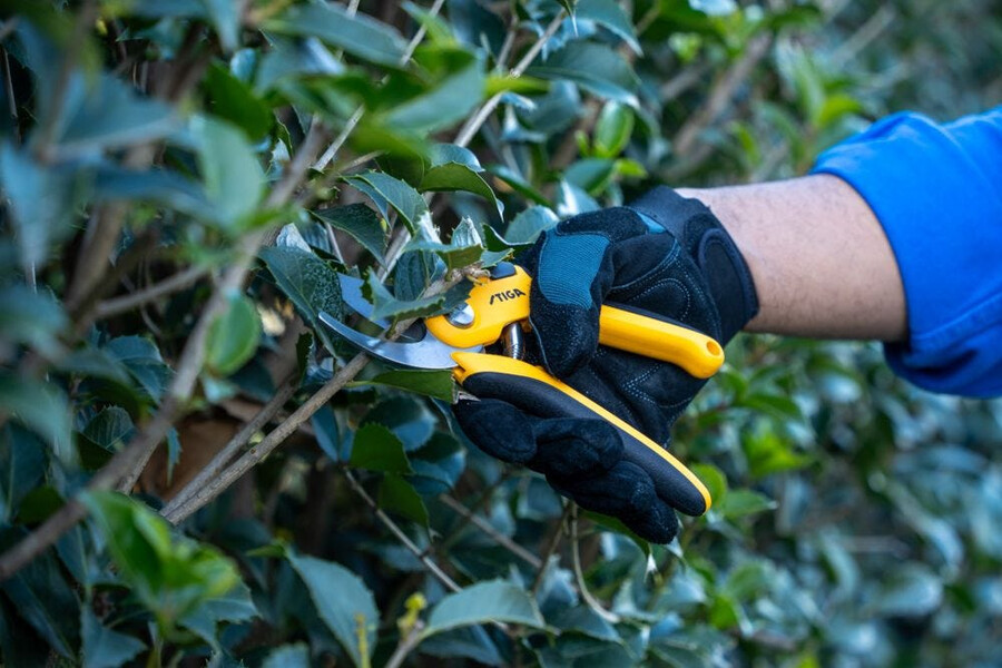 manual pruning shear and saw - bypass pruning shears
