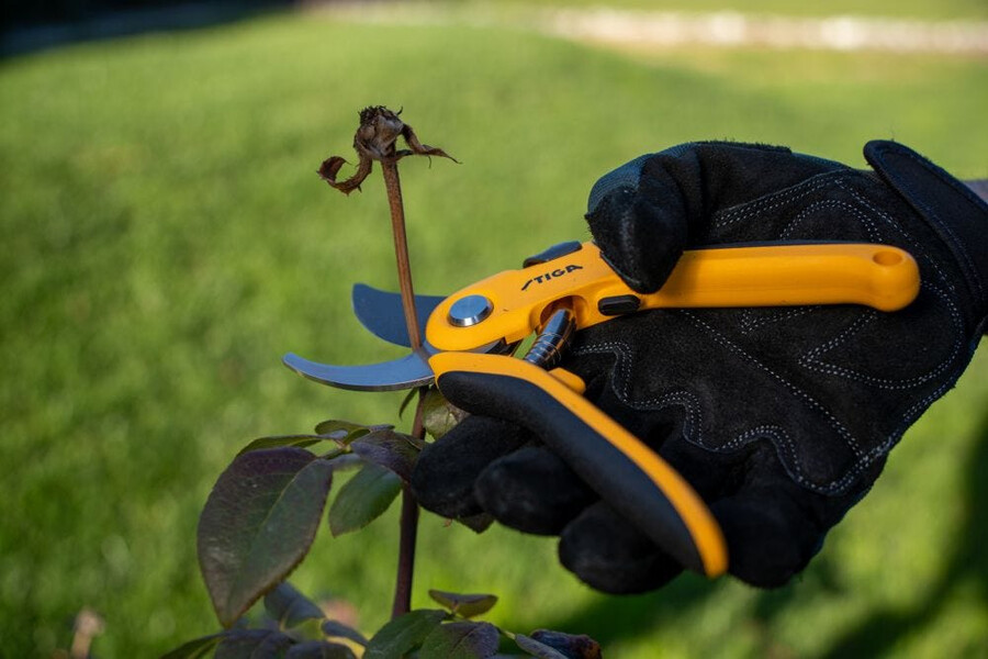 manual pruning shear and saw - bypass pruning shears