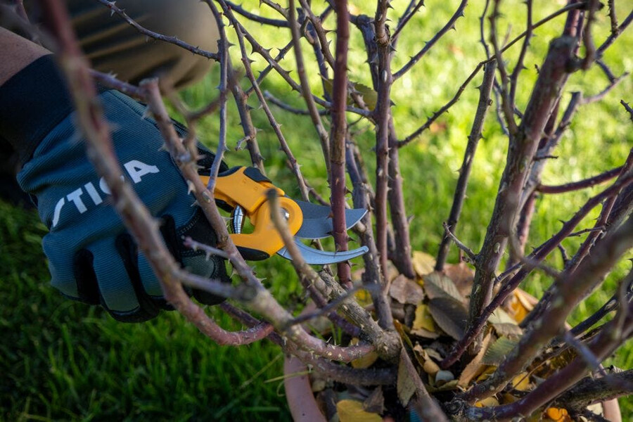 manual pruning shear and saw - bypass pruning shears