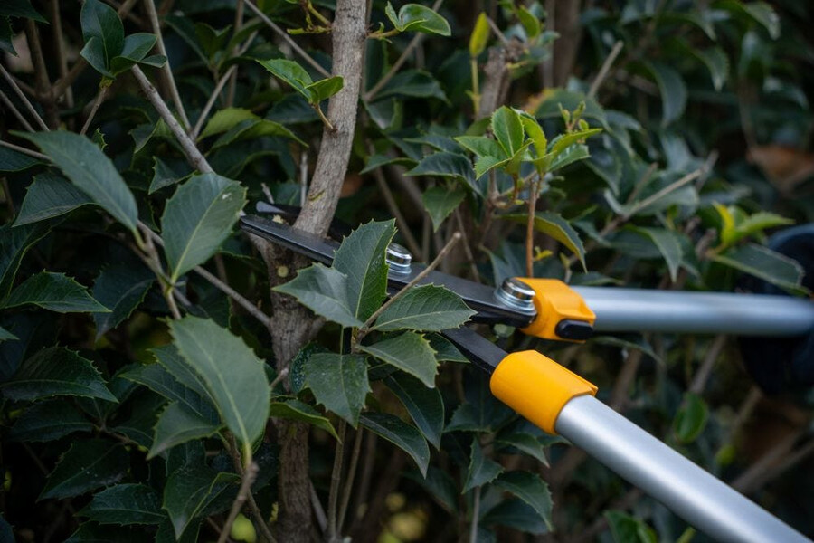 manual pruning shear and saw - bypass lopper