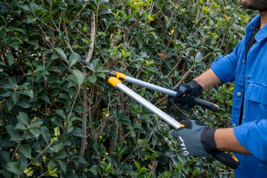 manual pruning shear and saw - bypass lopper
