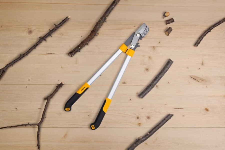 manual pruning shear and saw - anvil lopper