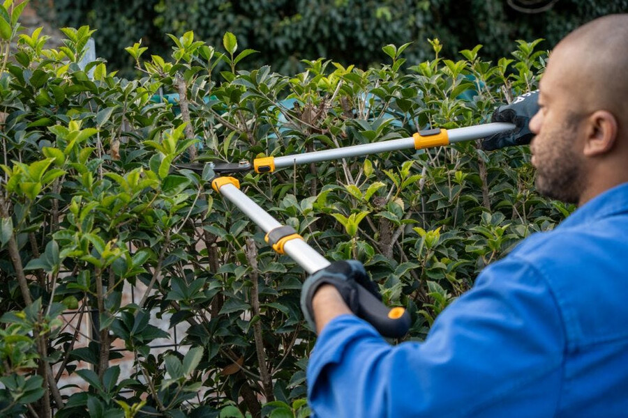 manual pruning shear and saw - telescopic bypass lopper