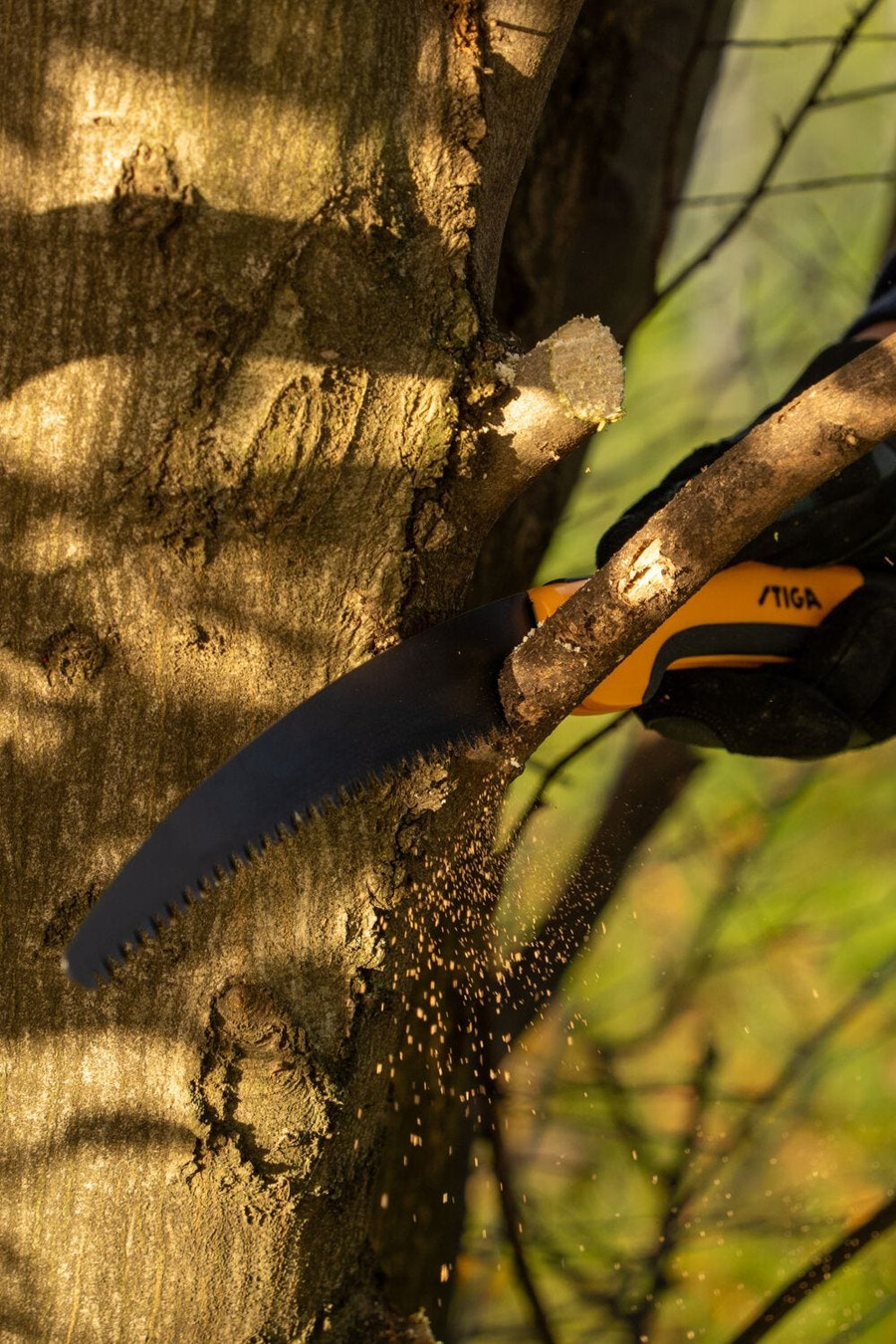 manual pruning shear and saw - folding pruning saw